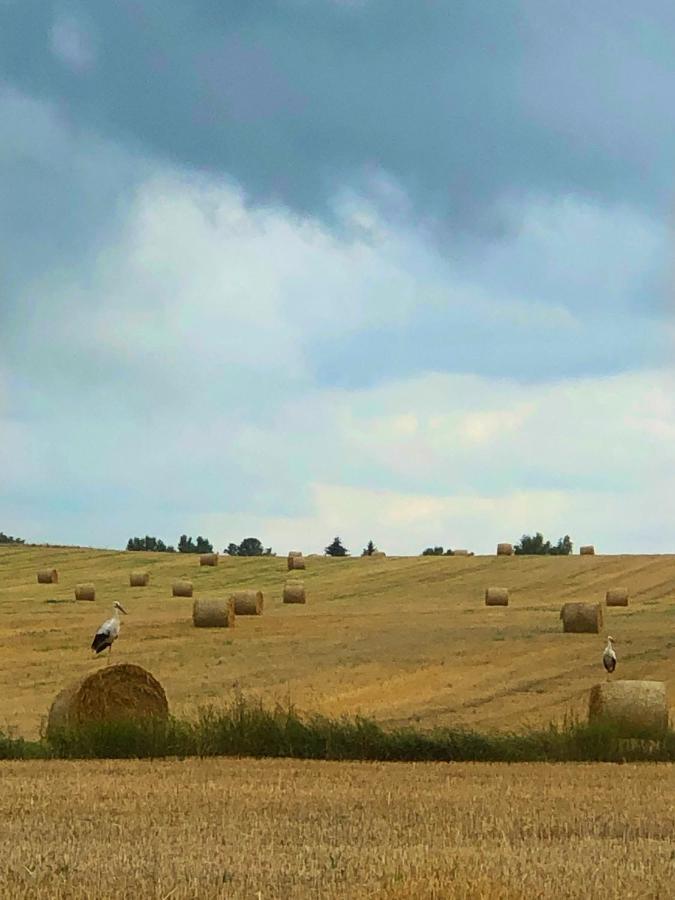 Agroturystyka „Nadbuzanski Swit” Wola Uhruska Exterior foto